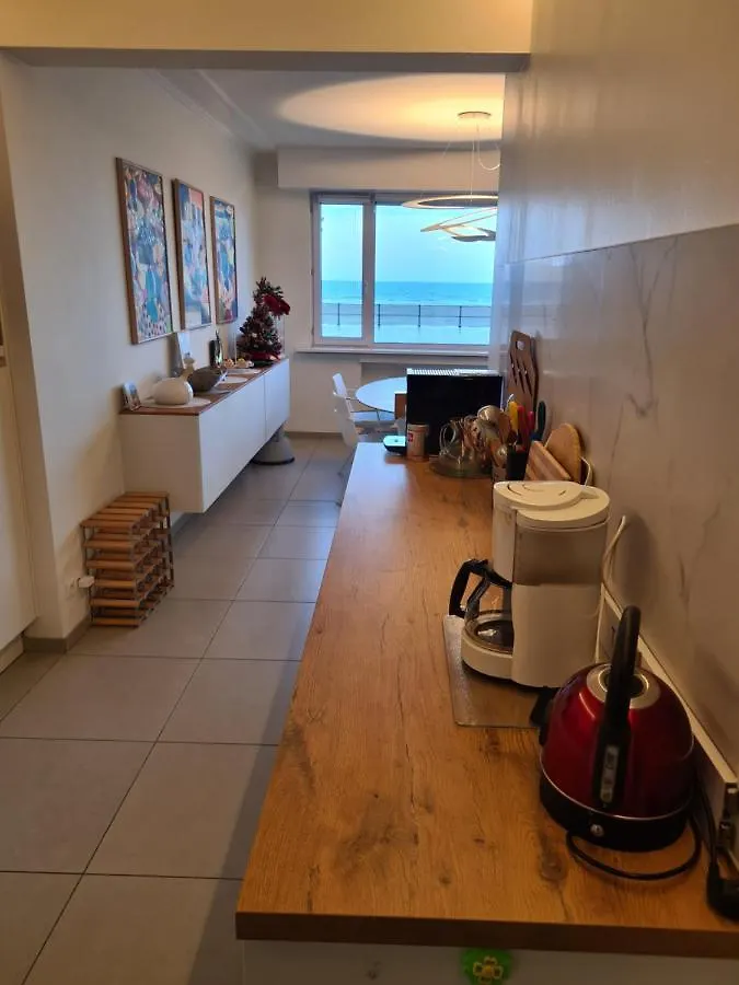 Frontaal Gelijkvloers Seaview 80M² 2 Slp Apartment Ostend